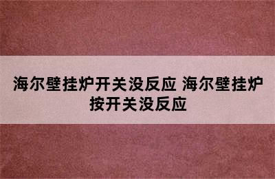 海尔壁挂炉开关没反应 海尔壁挂炉按开关没反应